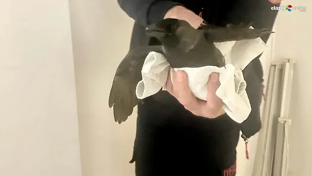 Karganın yardımına ekipler yetişti