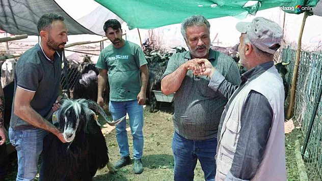 Elazığ'da Kurbanlık Almak İsteyenler Bu Haberi Okumadan Pazara Gitmeyin!