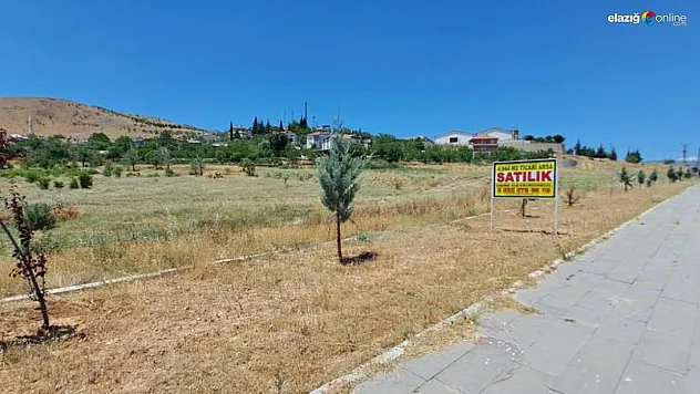 Hırsızlar 'Satılık arsa' yazılı tabelayı bile çaldılar