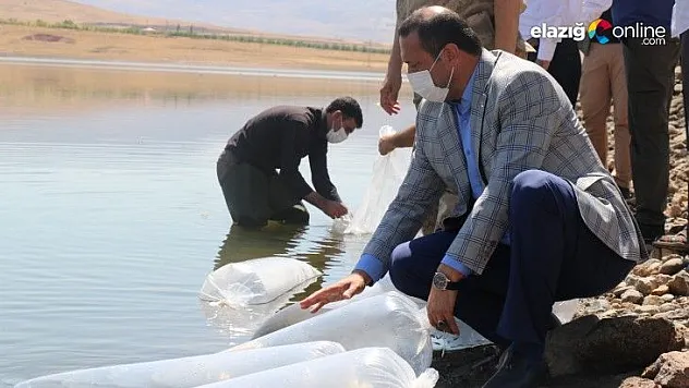 Kalecik Baraj Göletine, 100 bin yavru sazan balığı bırakıldı