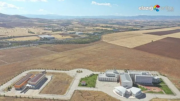 100 hektarlık alanda 46 bin adet fidan dikilecek