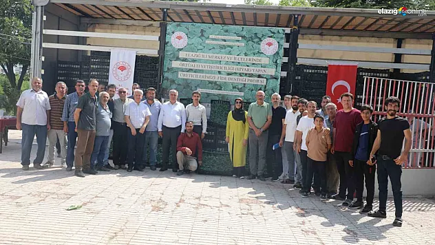Elazığ'da Örtü Altı Seracılık Gelişiyor: Tarım Müdürlüğünden Büyük Fide Desteği!