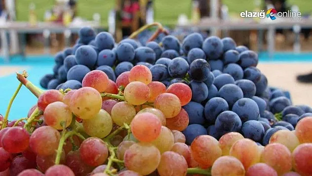 15. Bağ Bozumu ve Orcik Festivali başladı