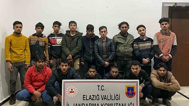 Elazığ jandarmasından düzensiz göçmen operasyonu!