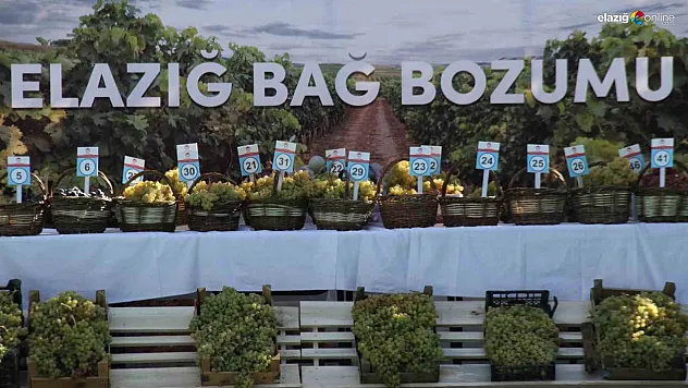 17'nci Bağ Bozumu Festivali Elazığ'da gerçekleştirildi