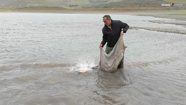 Elazığ'da Yasak Avcılığa Geçit Yok! Balıklar Kurtarıldı, Ağlara El Konuldu!