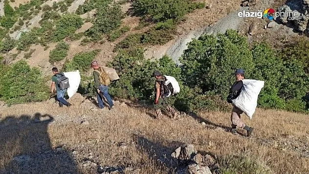 Elazığ'da 2 bin rakımda uyuşturucu operasyonu!