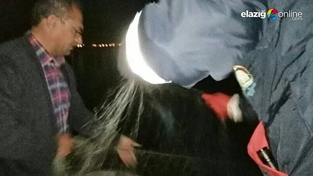 Elazığ'da 2 tekne ile kaçak balık avına çıkan 3 kişi yakalandı