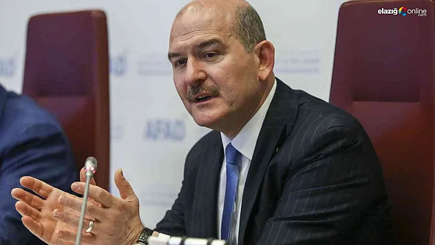 Bakan Soylu sosyal medya hesabından duyurdu! Elazığ'da 2 terörist silahlarıyla birlikte teslim oldu