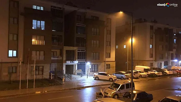 Elazığ'da 4.9 büyüklüğünde deprem