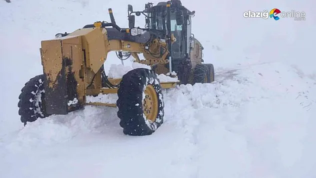 Yağan kar sonrası 86 köy yolu ulaşıma kapandı