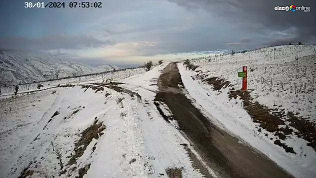 Köye inen kurt sürüsü kameralara takıldı