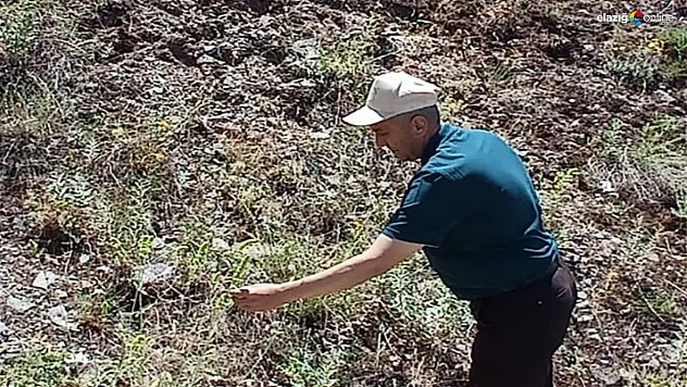 Elazığ'da Maden Ada Çayı İzleme Projesiyle Ekosistem Sağlığı Güçlendiriliyor!