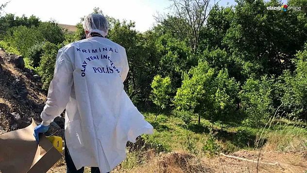 Elazığ'da Ağaçlık Alanda Asılı Erkek Cesedi Bulundu!