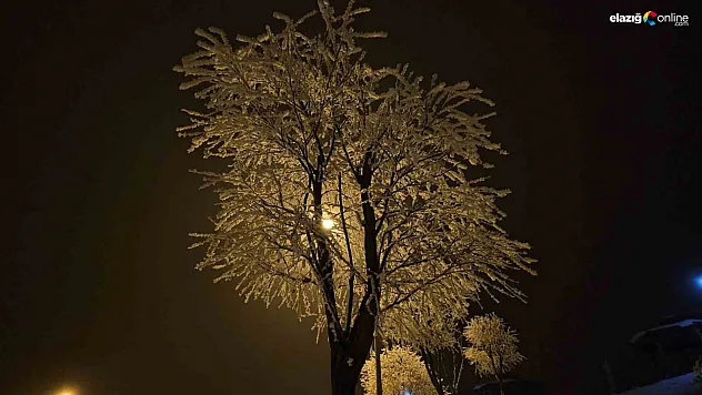 Elazığ buz kesti: Eksi 10 derecede şehir kristal örtüyle kaplandı!