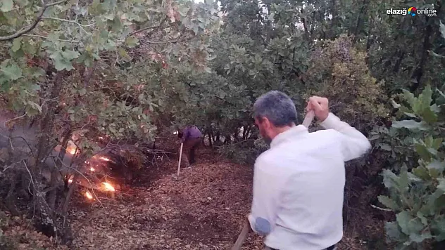 Baskil'de Yangın Paniği: İtfaiye ve Vatandaşlar Seferber Oldu!