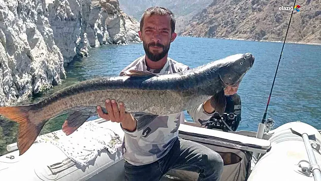 Karakaya Baraj Gölü'nde Balıkçıları Hayrete Düşüren Av!
