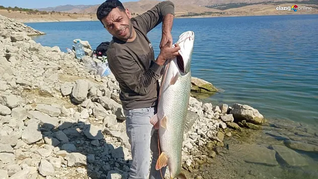 Amatör Balıkçıdan Rekor Av: Keban Barajı'nda Dev Turna Balığı