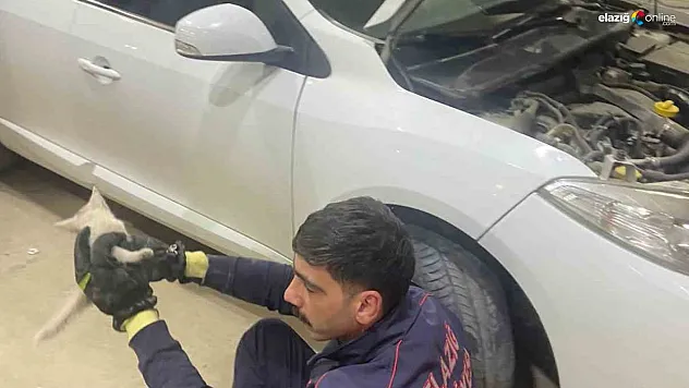 Aracın Motoruna Sıkışan Kedi için Elazığ İtfaiyesi Seferber Oldu!