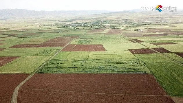 Elazığ'da arazi toplulaştırma çalışmaları sürüyor