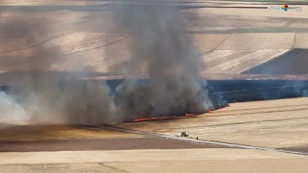Elazığ Çip Köyü'nde Korkutan Yangın: Arpa ve Buğday Tarlaları Kül Oldu!