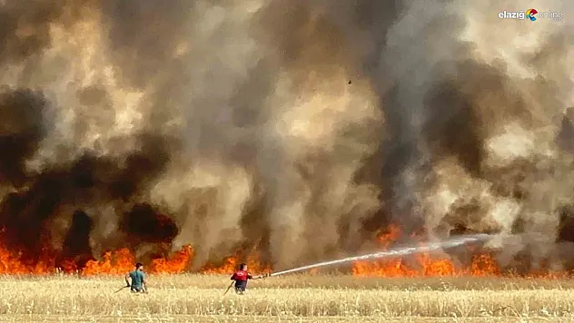 Elazığ'da Tarla Yangını: İtfaiye ve Çiftçiler Seferber Oldu