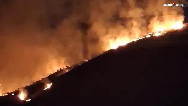 Elazığ'da boş arazide yangın!