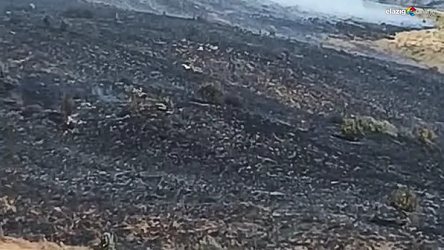 Sivrice'de Arazide Korkutan Yangın: Havadan ve Karadan Müdahale!