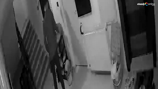 Güvenlik Kameralarına Yansıyan Ayakkabı Hırsızı Yakalandı!