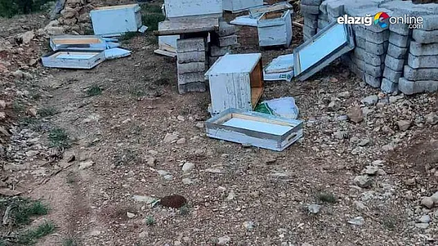 Ayıların parçaladığı arı kovanları kullanılamaz hale geldi