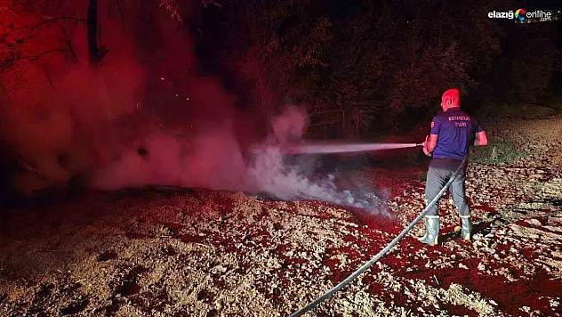 Kovancılar'da Bahçe Yangını Korkuttu: İtfaiyenin Hızlı Müdahalesi Felaketi Önledi!
