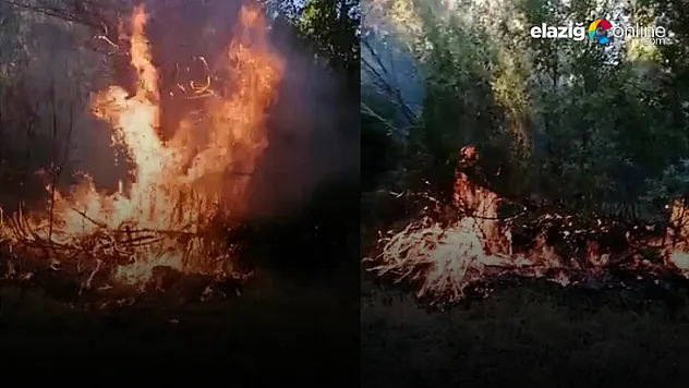 Elazığ'da Bahçe Yangını