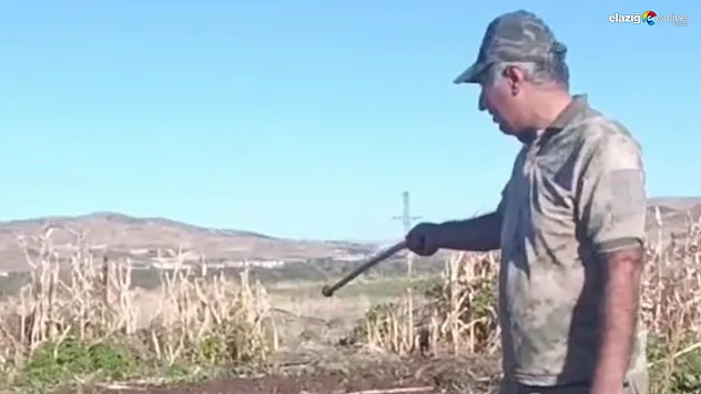 Elazığ'da Bahçeyi Talan Eden Domuza Sosyal Medyadan Mizahi Tepki