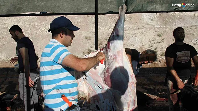 Bayram namazından çıkan Elazığlılar kurbanlarını kesti
