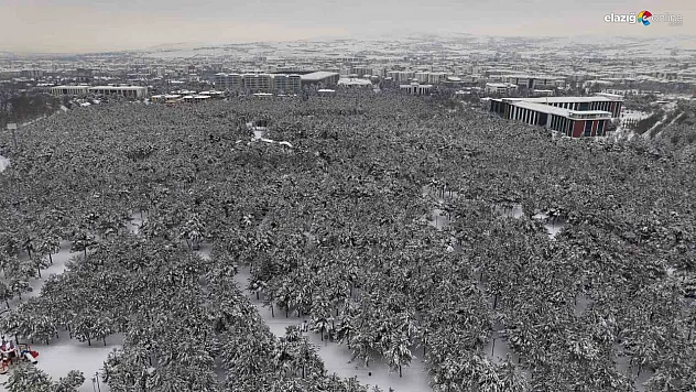 Binaların arasında saklı bir kış bahçesi: Beyaz esaret değil, beyaz zarafet!
