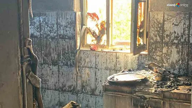 Karakoçan'da Yangınla İlgili İnceleme Başlatıldı!