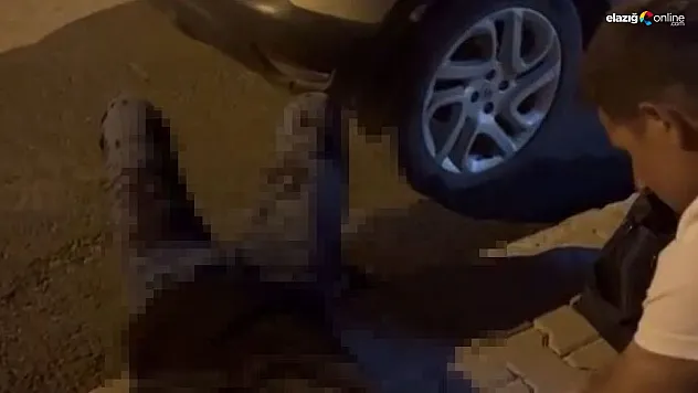 Elazığ'da bir kişiyi silahla yaralayan 2 şüpheli yakalandı