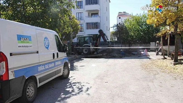 Elazığ'da bir mahalle diken üstünde