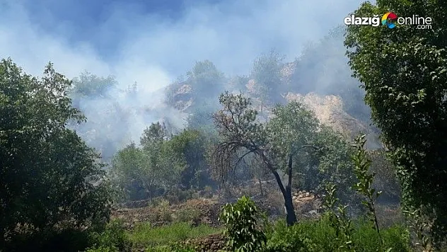 Çıkan orman yangını kısa sürede söndürüldü