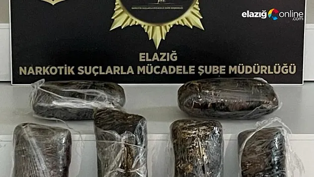 Dedektör köpek Nina geçit vermedi