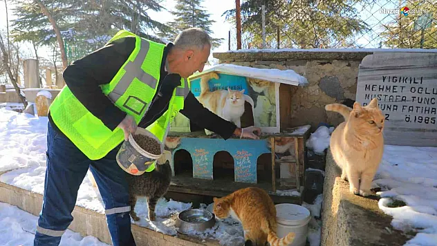 Elazığ'da dondurucu soğuklara karşı 'şefkat' operasyonu