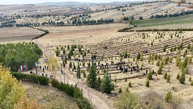 Fırat Üniversitesi'nden Minik Fidanlarla Büyük Mesaj: Barış ve İnsanlık için Etkinlik!