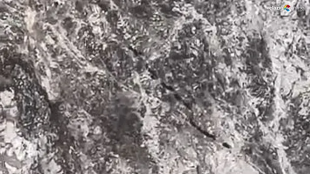 Kamerayı fark edince kaçtılar!