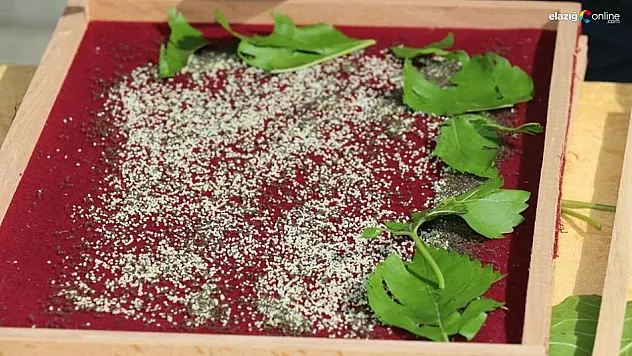 Elazığ'daki ipek böcekçiliği yetiştiriciliğine destek!