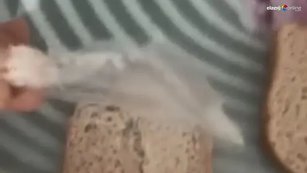 Elazığ'da gıda hijyeni yine gündemde: Ekmeğin içinden çıkan şok etti