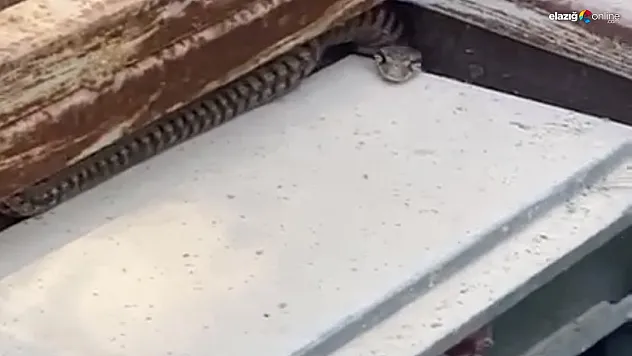 Panoyu açan köylüler paniğe kapıldı