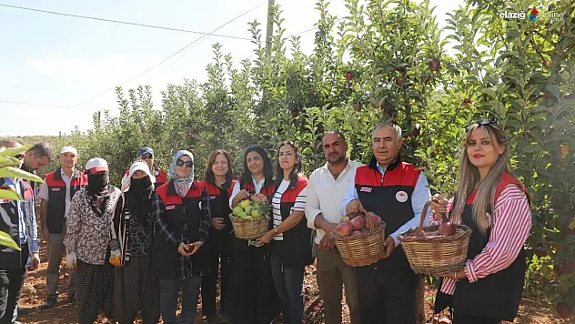 Elazığ'da Don Zararı Sonrası Umut Veren Hasat!