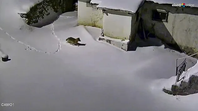 Baskilliler dikkat! Gece yarısı kapınızın önünde belirebilir