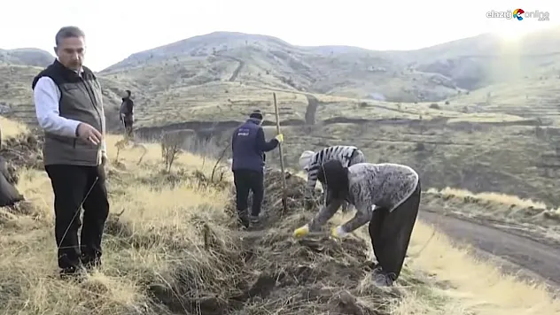 Elazığ'da fidanlar toprakla buluşturuldu!