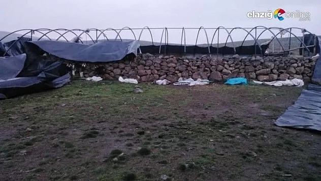 Elazığ'da fırtına direkleri devirdi, çatıları uçurdu 10 kuzu telef oldu
